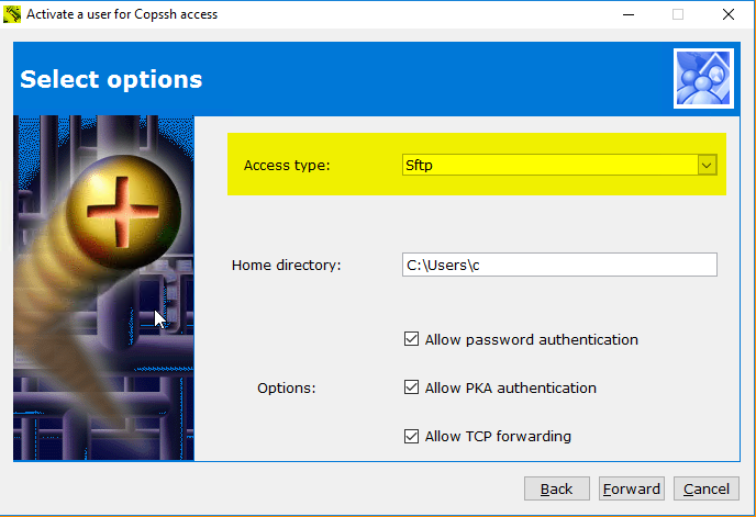 Copssh Control Panel - User Activation Wizard - Access Type - Sftp